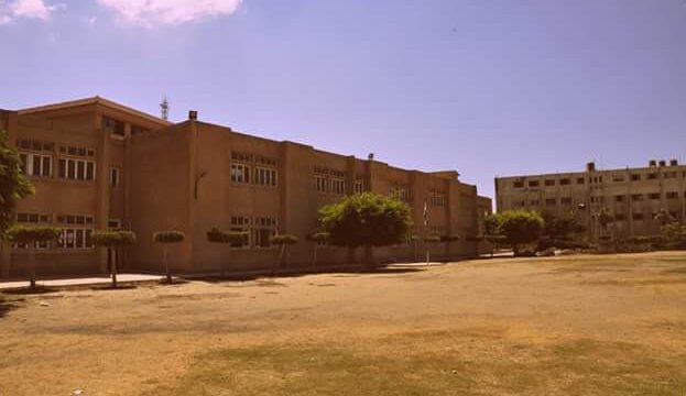 Google Photo 3