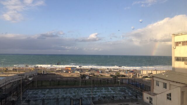 Google Photo 4