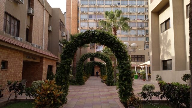 Google Photo 5
