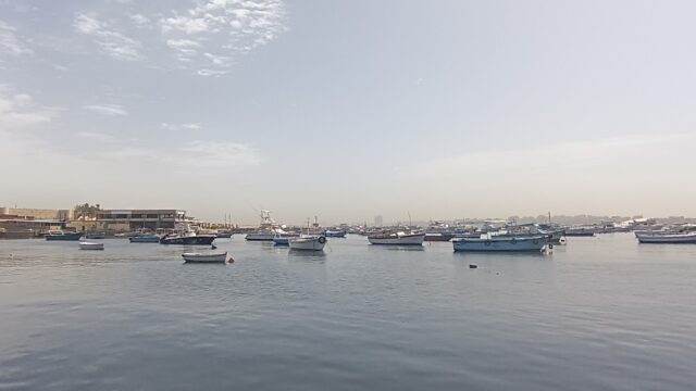 Google Photo 4