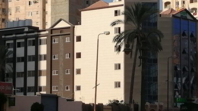 Google Photo 5