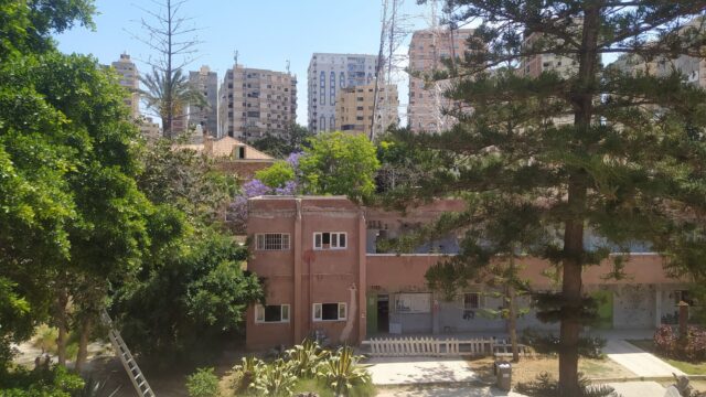 Google Photo 3