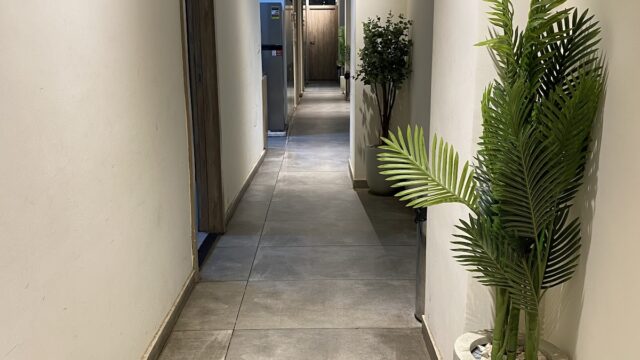Google Photo 2