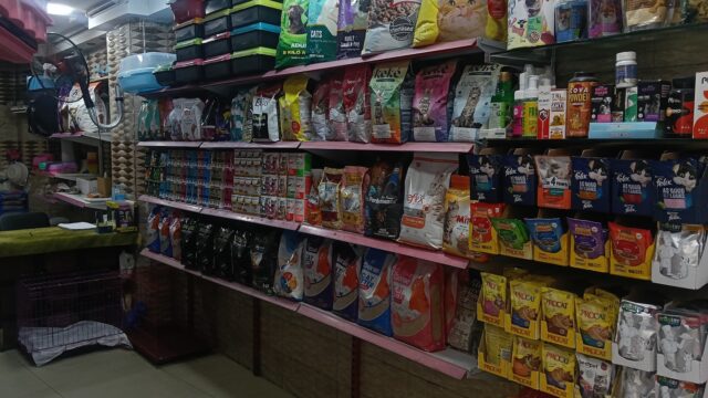 Google Photo 2