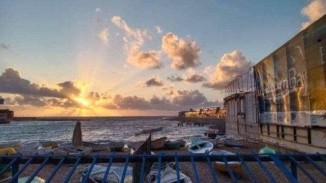 Google Photo 1