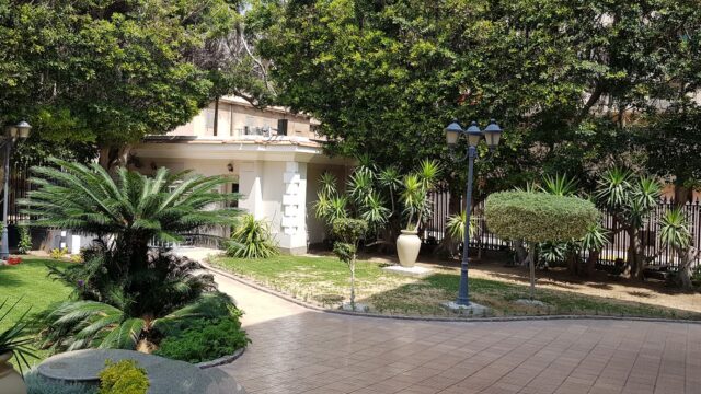 Google Photo 5