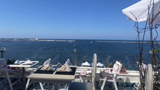 Google Photo 5