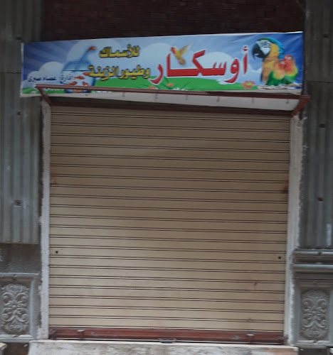 أوسكار للأسماك وطيور الزينة