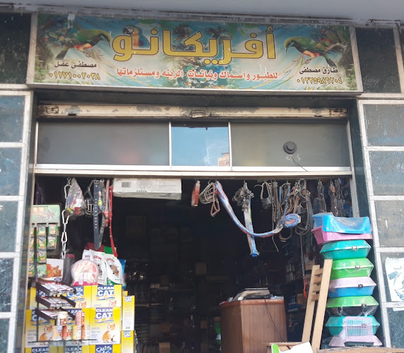 ستروبلا للرماية