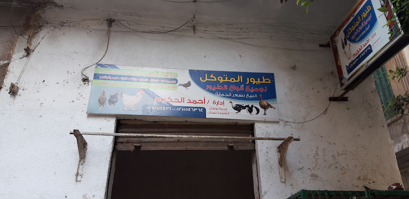 طيور متوكل لجميع انواع الطيور