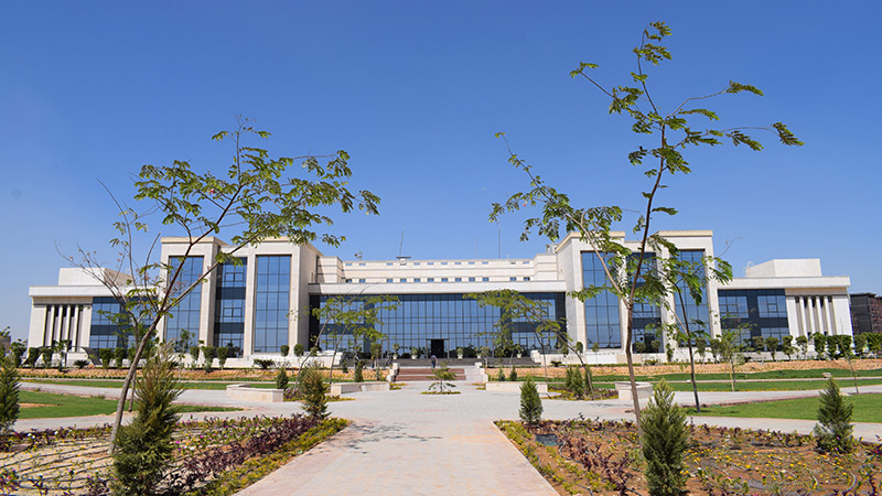 Zewail City of Science and Technology