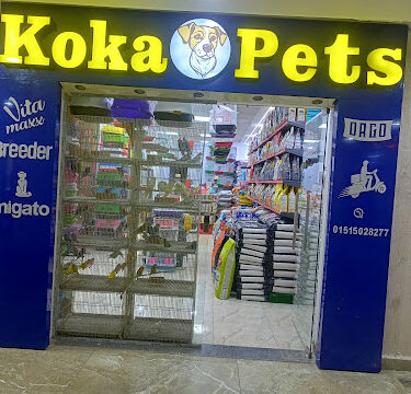 oplus_32