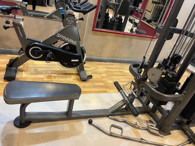 Fit lady gym