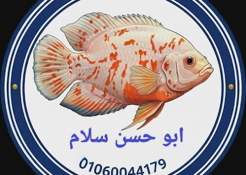 AABkmLfawbAZPpnxElYgbcLgfRFOjpUuc2fcEZYkC5dh3rNxwK3KC9rDt6kh06_UD5CXhSnIqgLuA0IdCxY_yf4yVJ5uv12LRZS3ZhpjwCZQwsm2dwjKkfRN4ppQZGMHfh87QDihQ0vL6mxggw74w800-h500-k-no.jpg