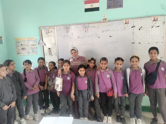 Ibn El Nafees Governmental Language School