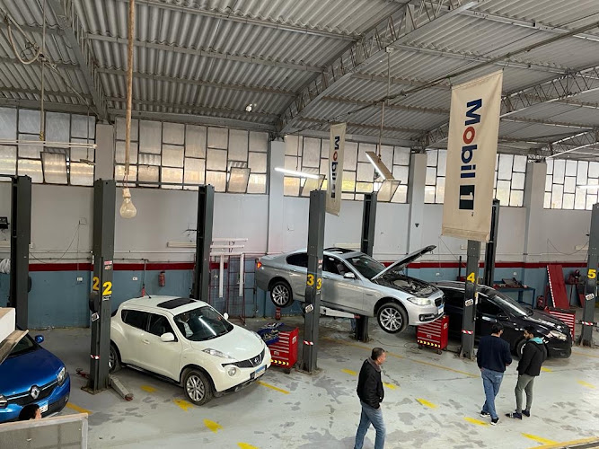 Authorized Inspection Center – Auto Tester/Egyptian Computerized Car Inspection – The Best Inspection Center