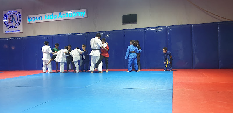 Ippon Judo Academy