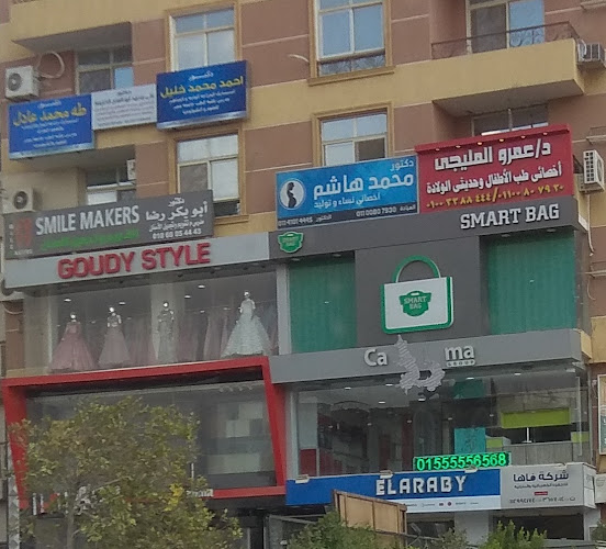 Dr. Amr El-Meligy