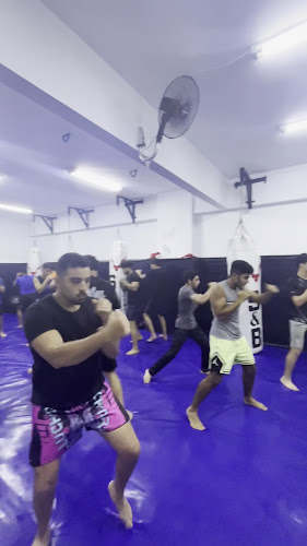 XFighter Club NewCairo