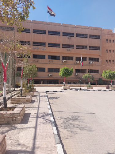 The higher institute of social work in Cairo