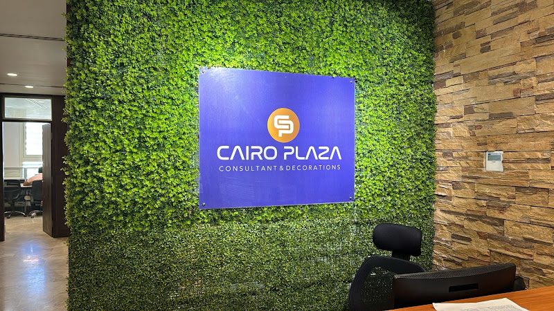 Cairo Plaza Consultant