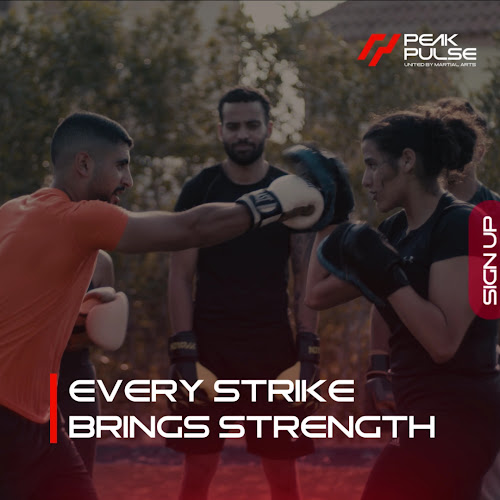 Peak Pulse Martial Arts Academy