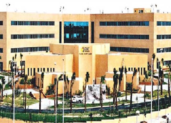 German University in Cairo (GUC)