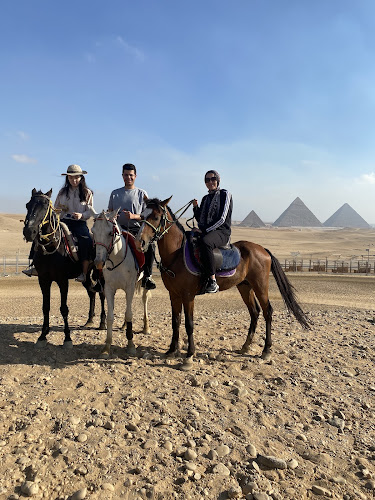 Elgabry Horse Riding Rental
