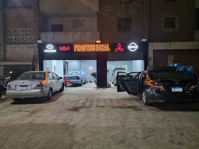 Professional Car Maintenance