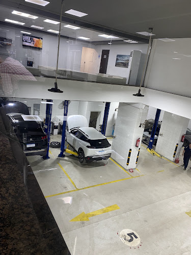 Peugeot Mansco Nasr City Service Center