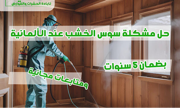 AHRPTWmMQBM6i27ERQ6GLiro0dhpEocO9V_i_TY-Pu4WXU2bQJPZAKf2lwp6HXK994SPOj-nlT8MZFgwF3qnwa2iuif41j7TXs6nMsiWIzqJKy0qEmHQkI2Yo6AgWlB_-sYAk4vR3mkh9s-IX0cw800-h500-k-no.jpg