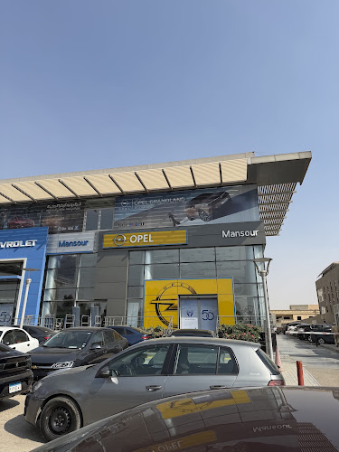 Opel maintenance