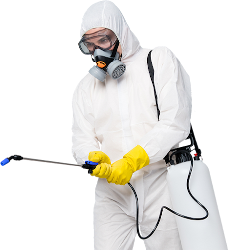 Bayer German Center for Insect Extermination