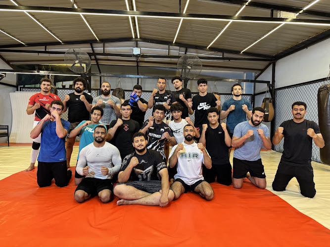 Ultimate fighting academy – UFA
