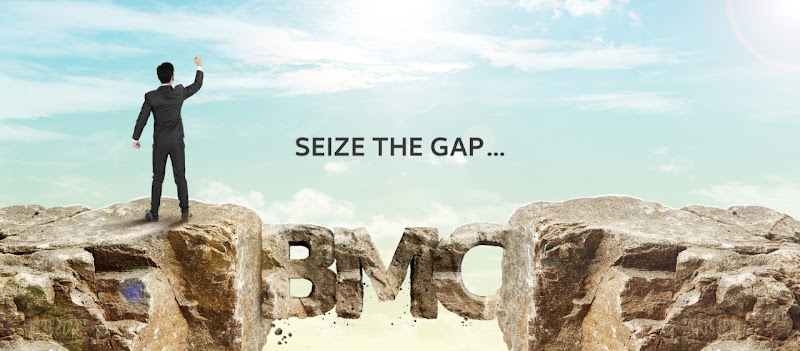 Business Map Consultants