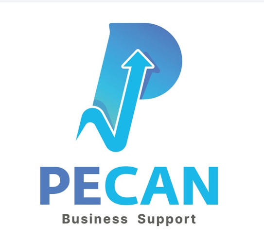Pecan for Business Support and Consulting