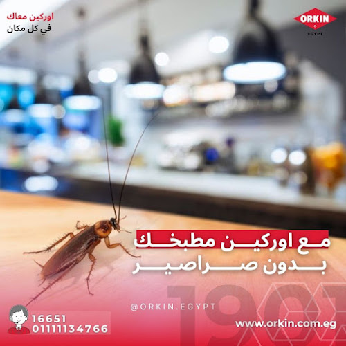 ORKIN EGYPT