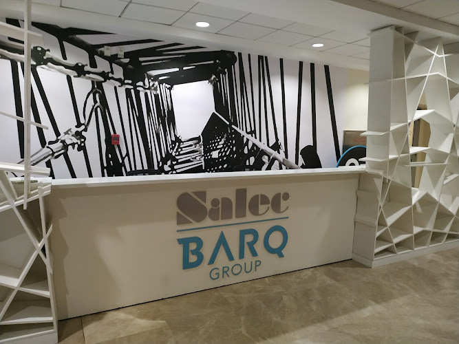 Barqsystems (Salec Egypt)