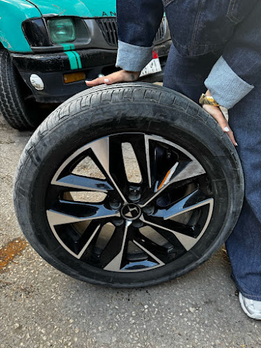 Tire Land