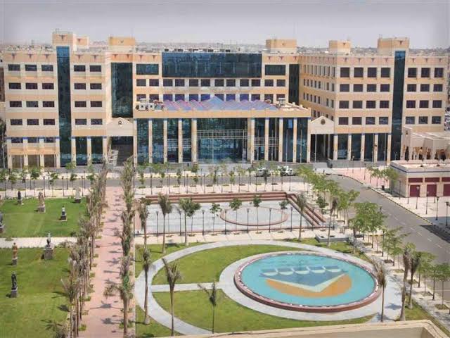 6th of October University Hospital