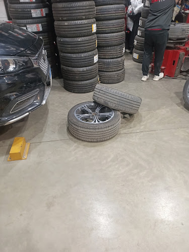 Kandil Tires 5th Settlement – قنديل للطرات تجمع الخامس