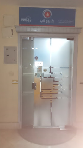 Cairo Lab October