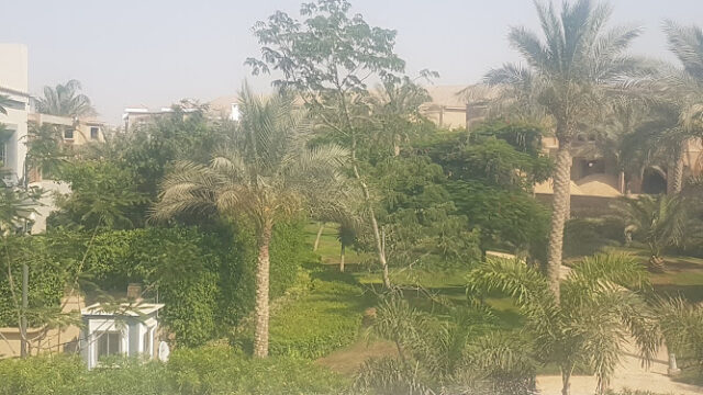 ANWiy9T8G4pMB_AUBQhytJH_u2GRBZUnc7SXM_s3ZObIlg9zw8hNxwRbp_0Y5eAAvxuYzKVE1TYRKKyfA2Sq1bAc12JyhUqcQ5XJg3FqtZTQcoNPmNgXxdoPsdESUr0ynudj9rZKYZSHw800-h500-k-no.jpg