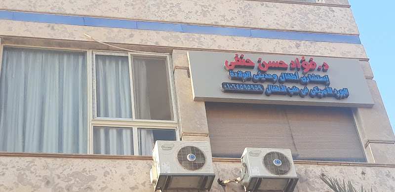 الدكتور فؤاد حسن حنفي