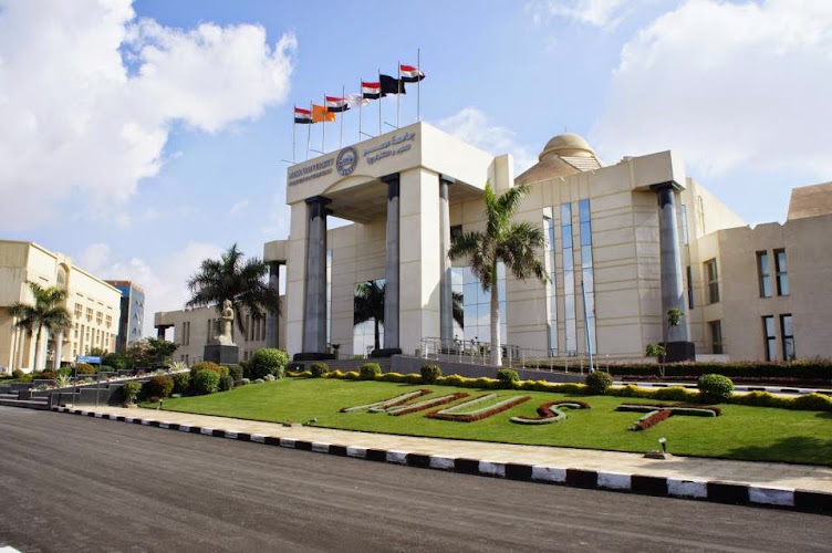 جامعة مصر للعلوم والتكنولوجيا