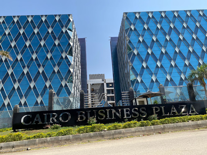 مجموعة رايزينج جروب مصر