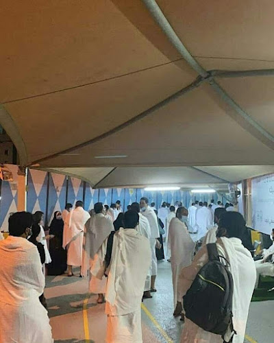 نيفرتي ترافل