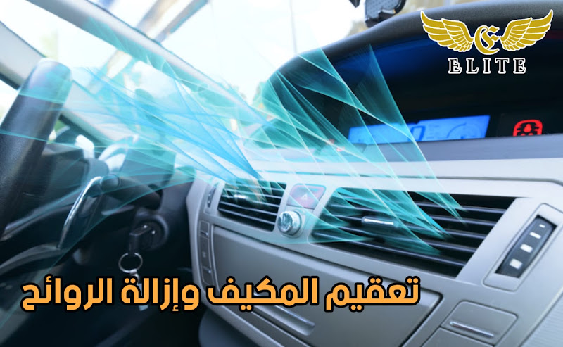 Elite Van Detailing – تعزيز السيارات المتنقلة