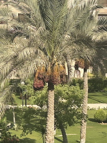 غرفة مصرية