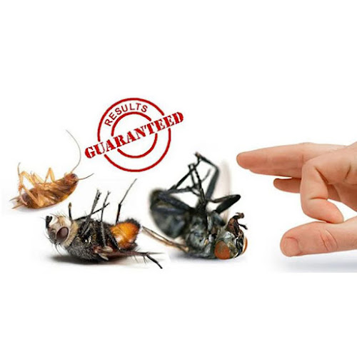 بحكمة سيرفيس لابادة الحشرات